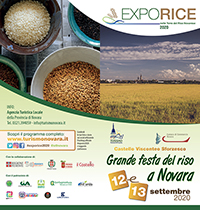 Expo Rice 2020
